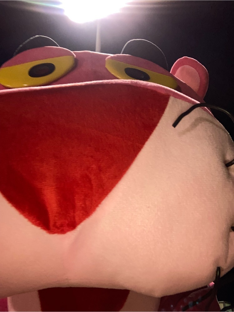 Pink Panther in the house