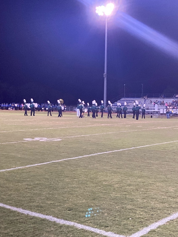 Panther band 1/2 time performance