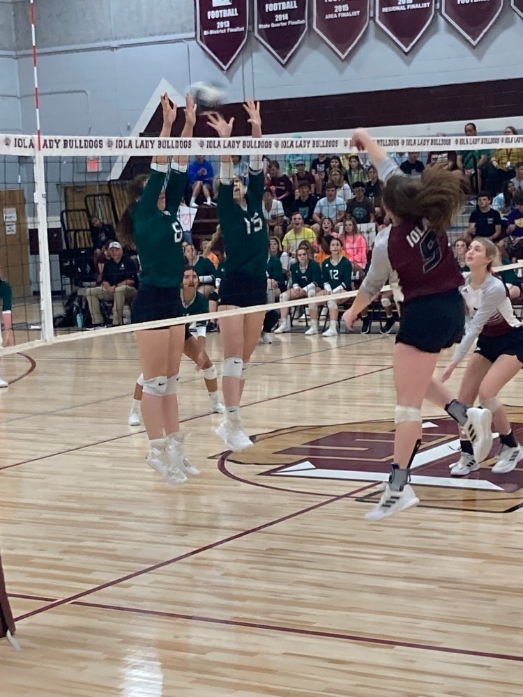 Panther Vball